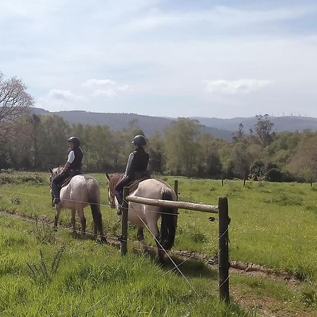 Granja Labrada: Alojamiento Con Caballos Manon Exterior photo