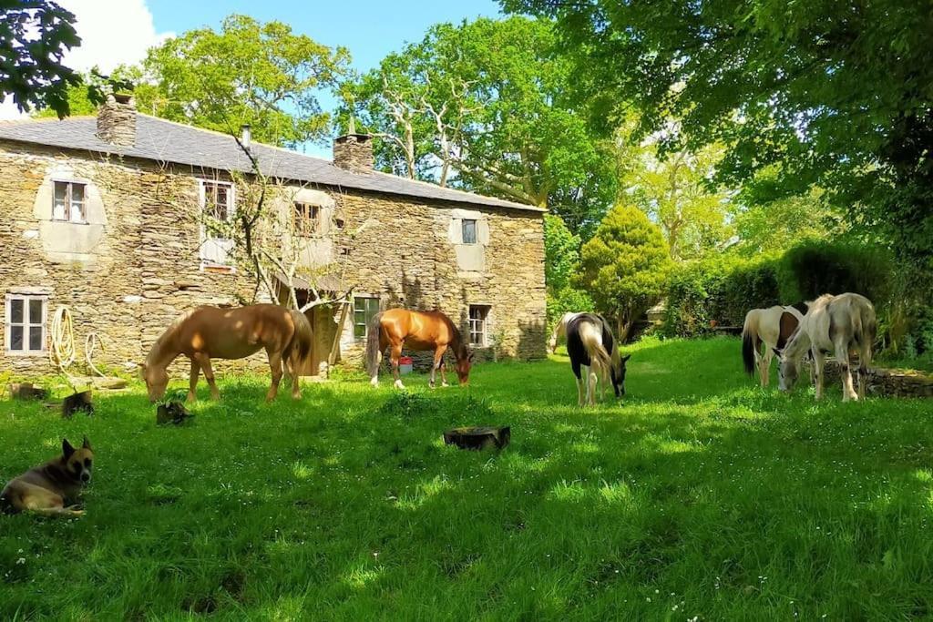 Granja Labrada: Alojamiento Con Caballos Manon Exterior photo