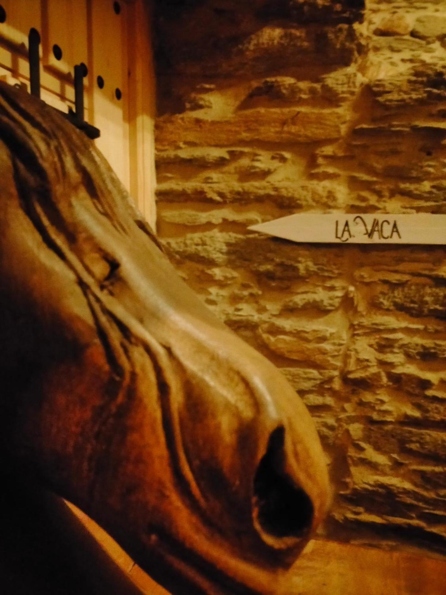 Granja Labrada: Alojamiento Con Caballos Manon Exterior photo